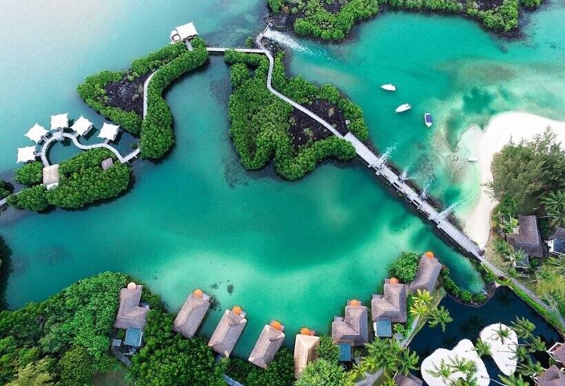 سوییت جونیور, Constance Prince Maurice