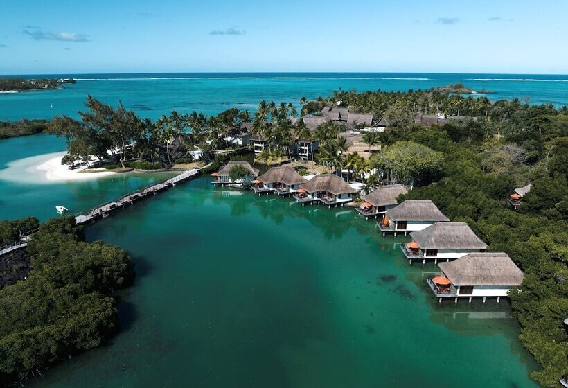 سوییت جونیور, Constance Prince Maurice