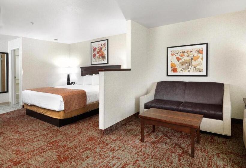 اتاق استاندارد با تخت بزرگ, Crystal Inn Hotel & Suites   Salt Lake City