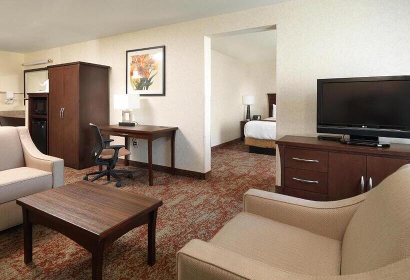 سوئیت اجرایی با تخت کینگ, Crystal Inn Hotel & Suites   Salt Lake City