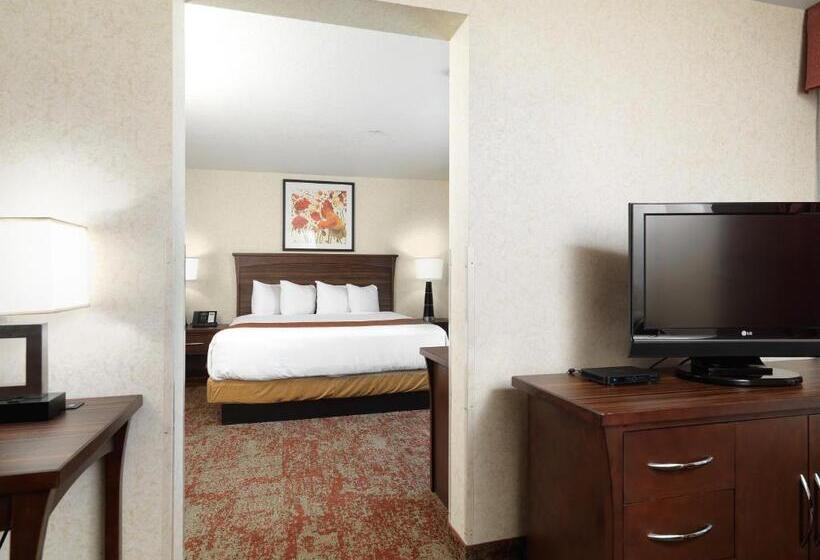 سوئیت اجرایی با تخت کینگ, Crystal Inn Hotel & Suites   Salt Lake City