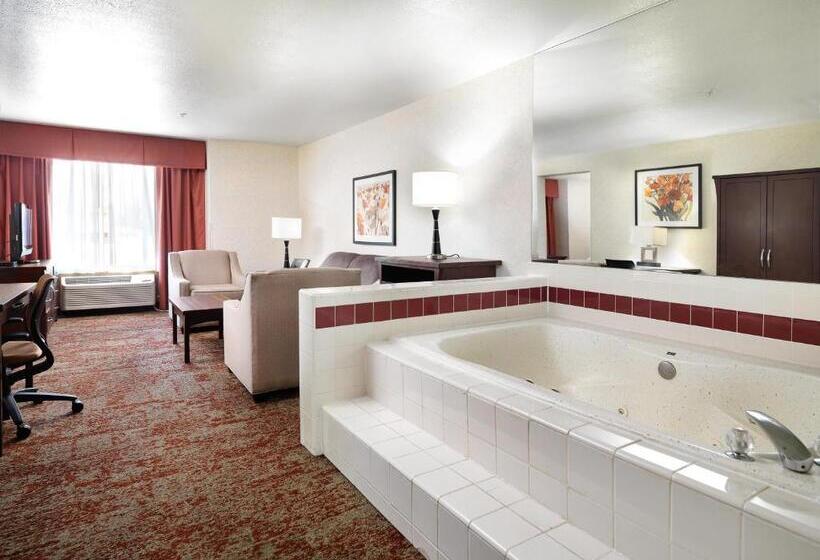 Business Suite Kingsize Bett, Crystal Inn  & Suites  Salt Lake City