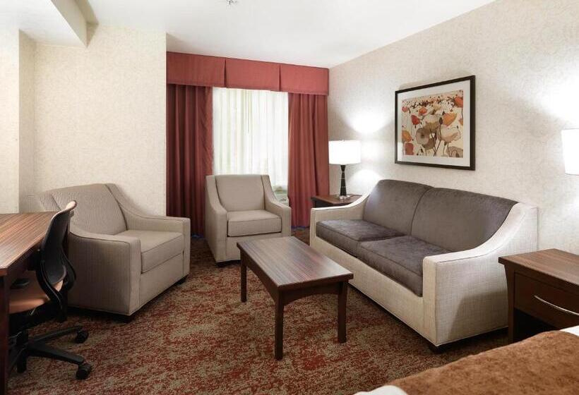 Habitació Deluxe Llit King, Crystal Inn  & Suites  Salt Lake City