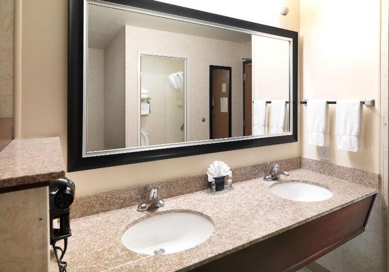 اتاق استاندارد با تخت بزرگ, Crystal Inn Hotel & Suites   Salt Lake City