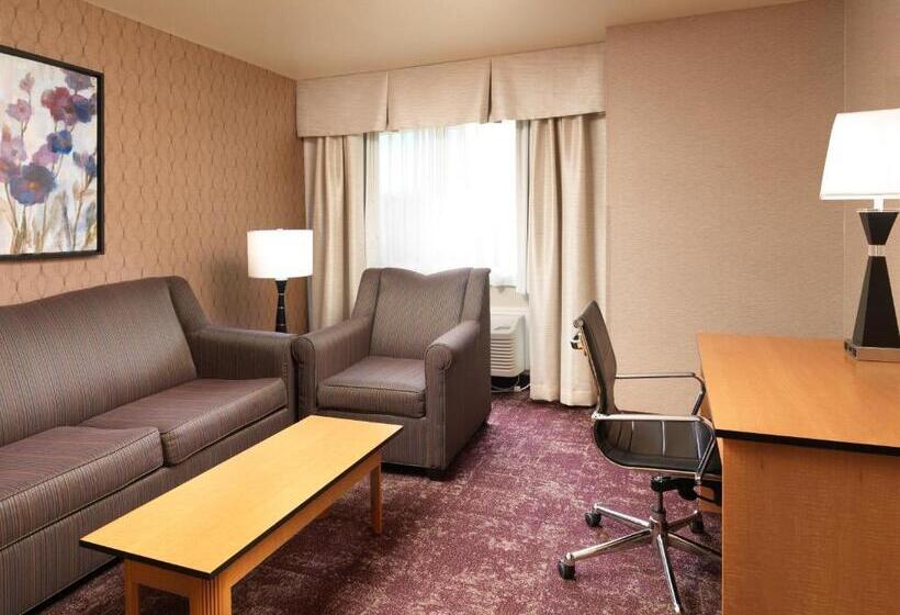 اتاق استاندارد با تخت بزرگ, Crystal Inn Hotel & Suites   West Valley City