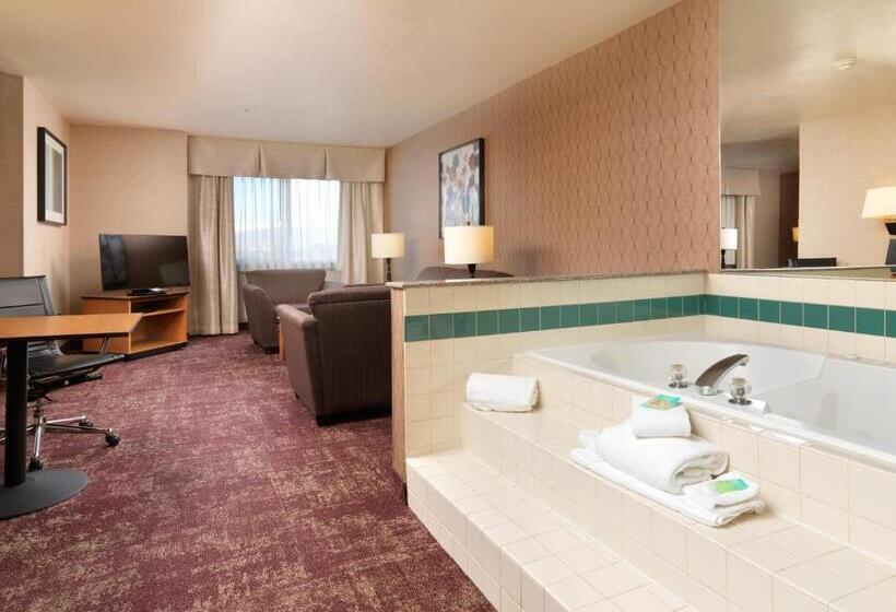 اتاق استاندارد با تخت بزرگ, Crystal Inn Hotel & Suites   West Valley City