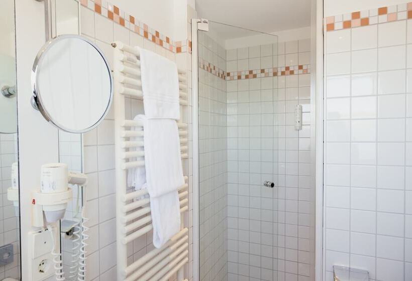 اتاق استاندارد یک نفره, Dom Hotel Limburg