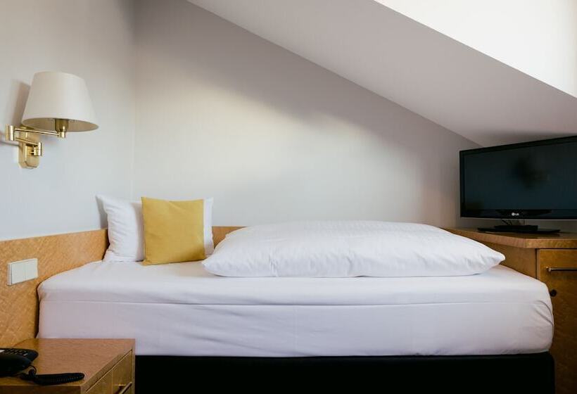 اتاق استاندارد یک نفره, Dom Hotel Limburg