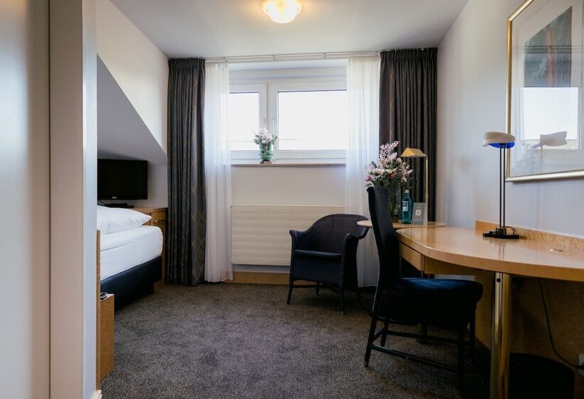 اتاق استاندارد یک نفره, Dom Hotel Limburg