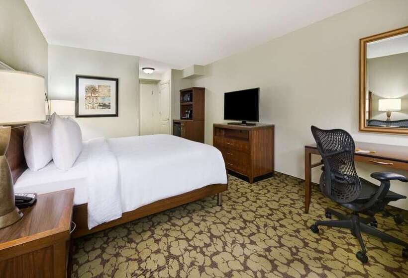 اتاق لوکس با تخت بزرگ, Hilton Berlin