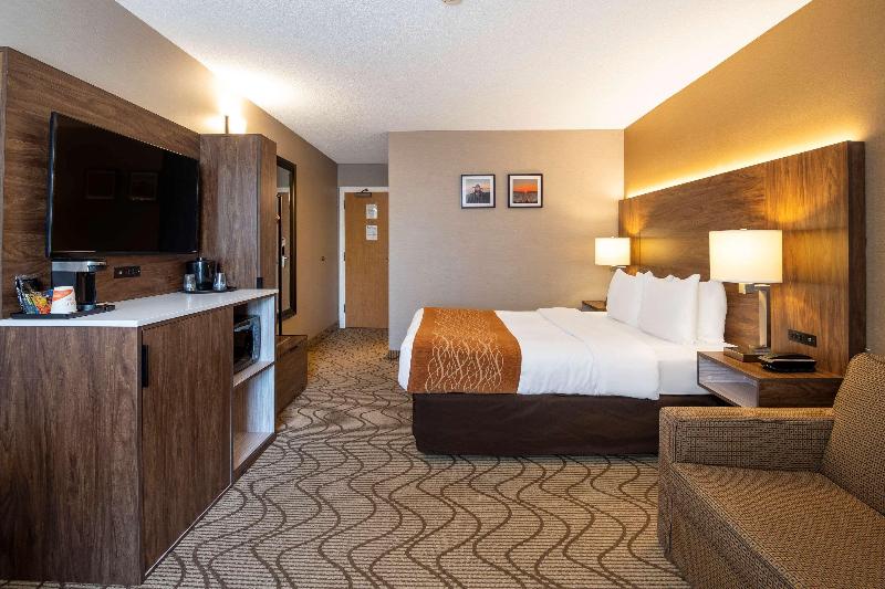 اتاق استاندارد یک نفره, King S Hotel First
