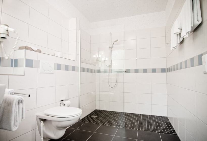 اتاق راحتی یک تخته, Parkhotel Fulda