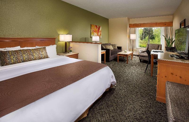 اتاق استاندارد با تخت بزرگ, Radisson Hotel Portland Airport