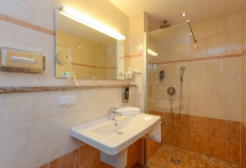اتاق استاندارد یک نفره, Stoll S Hotel Alpina