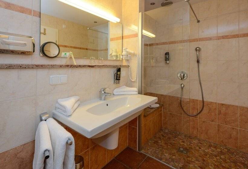 اتاق استاندارد, Stoll S Hotel Alpina