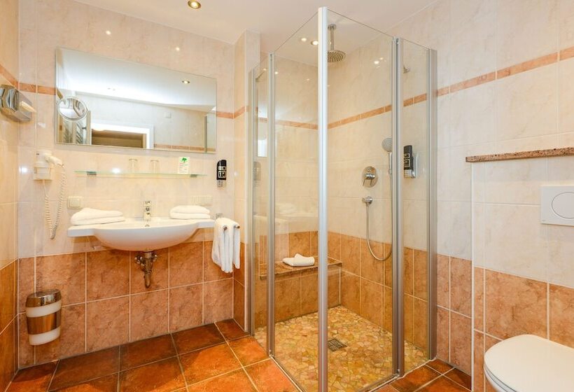 اتاق استاندارد با بالکن, Stoll S Hotel Alpina