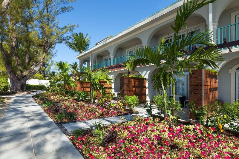 اتاق استاندارد با تخت بزرگ, The Westin Grand Cayman Seven Mile Beach Resort & Spa