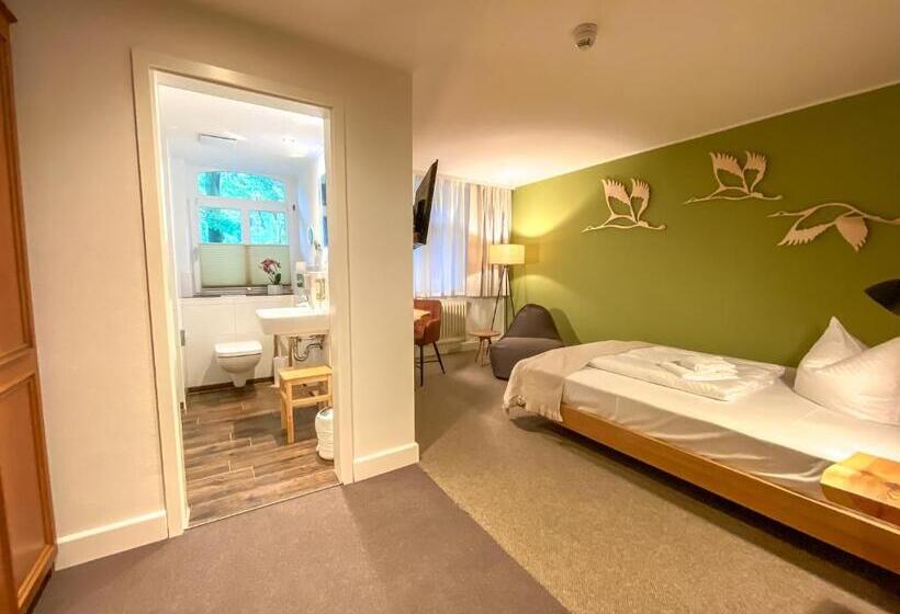 اتاق استاندارد یک نفره, Waldhotel Eiche