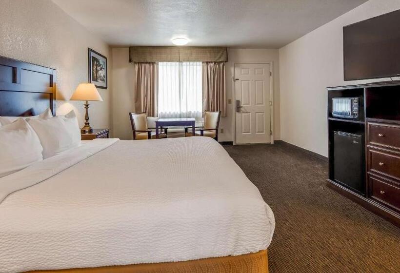 اتاق استاندارد با تخت بزرگ, Best Western Arcata Inn