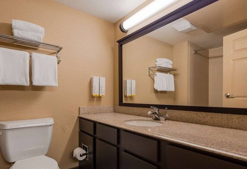 اتاق استاندارد با 2 تخت دوبل, Best Western Of Alexandria Inn & Suites & Conference Center