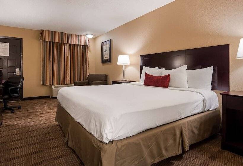 آپارتمان 1 خوابه, Best Western Of Alexandria Inn & Suites & Conference Center