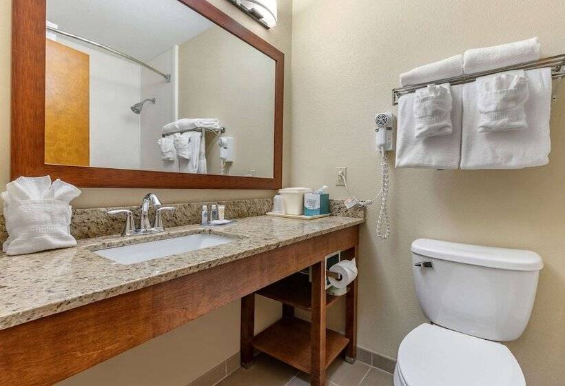 اتاق استاندارد با 2 تخت دوبل, Comfort Inn & Suites Clemson  University Area