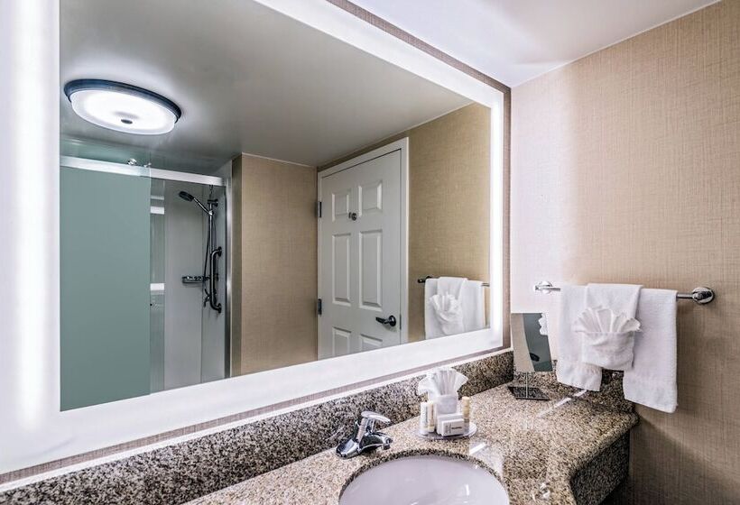 اتاق استاندارد با 2 تخت دوبل, Courtyard By Marriott Charleston Historic District