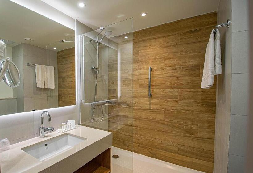 高级大房间, Crowne Plaza Maastricht, An Ihg