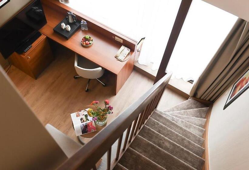 带大床的小型套房, Crowne Plaza Maastricht, An Ihg