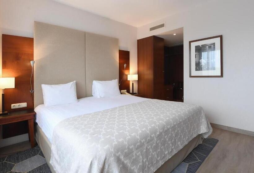 带大床的套房, Crowne Plaza Maastricht, An Ihg