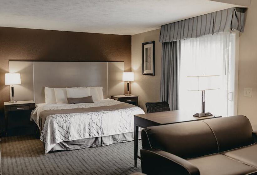 استودیو استاندارد با تخت کینگ, Eastland Suites Hotel & Conference Center