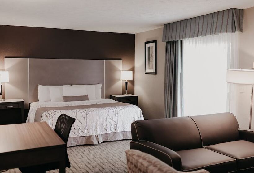 استودیو استاندارد با تخت کینگ, Eastland Suites Hotel & Conference Center