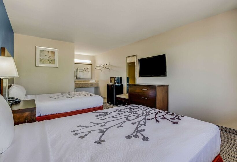 Standard Room 2 Double Beds, Econo Lodge Inn & Suites