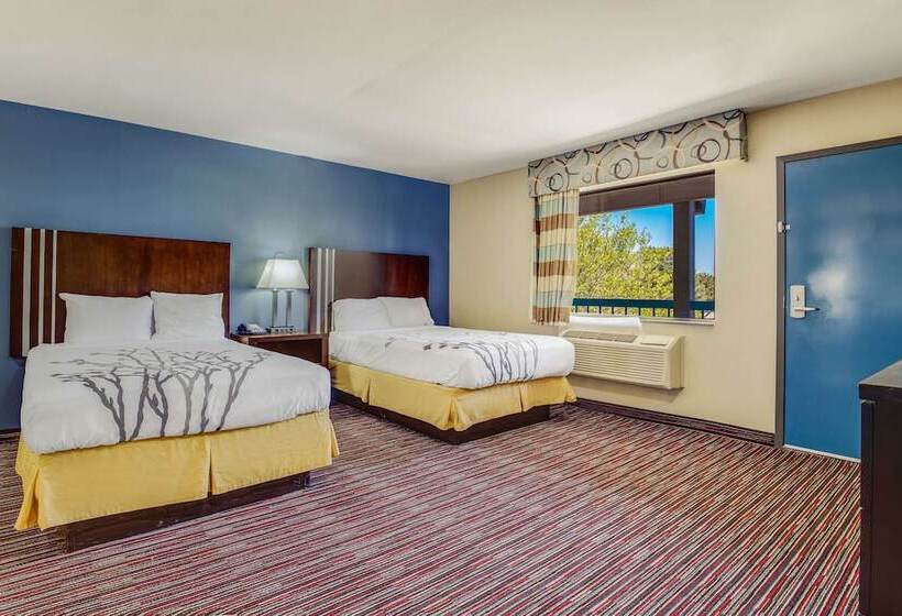 Suite Adapted for people with reduced mobility, Econo Lodge Inn & Suites