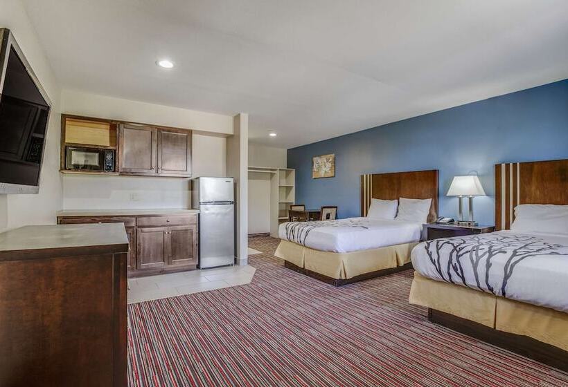 Suite, Econo Lodge Inn & Suites