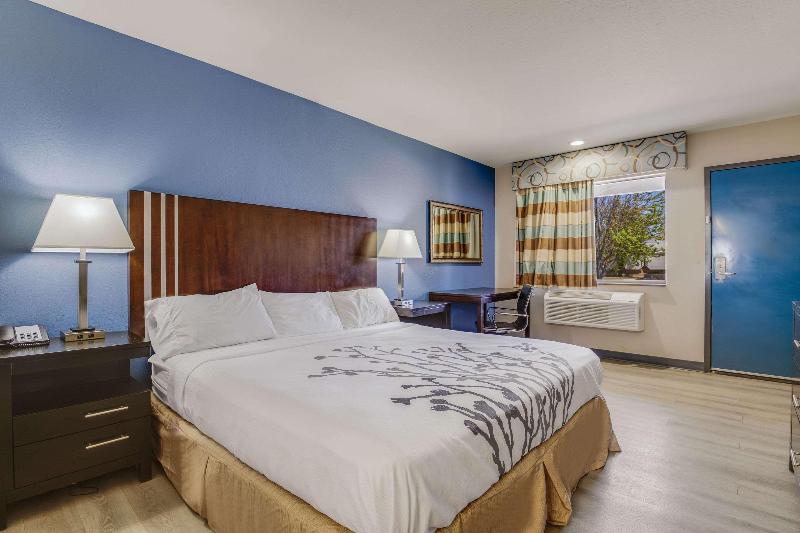 اتاق استاندارد با تخت بزرگ, Econo Lodge Inn & Suites