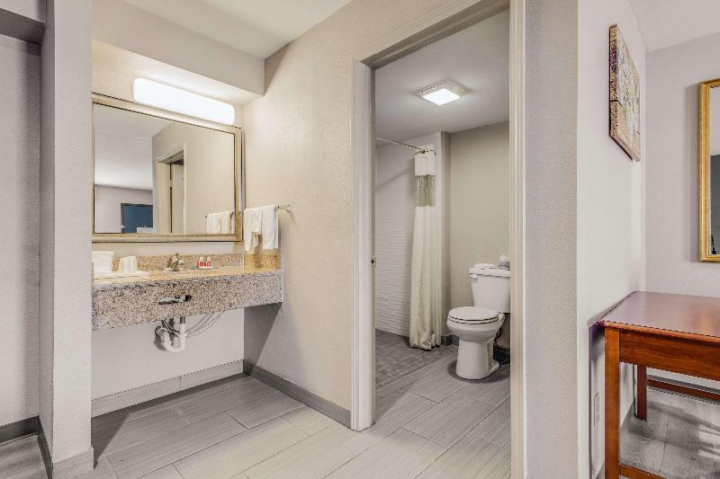 اتاق استاندارد با تخت بزرگ, Econo Lodge Inn & Suites