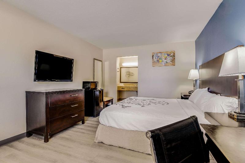 اتاق استاندارد با تخت بزرگ, Econo Lodge Inn & Suites