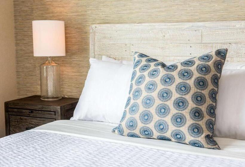 标准间, Edgar Hotel Martha S Vineyard, Ascend Hotel Collection