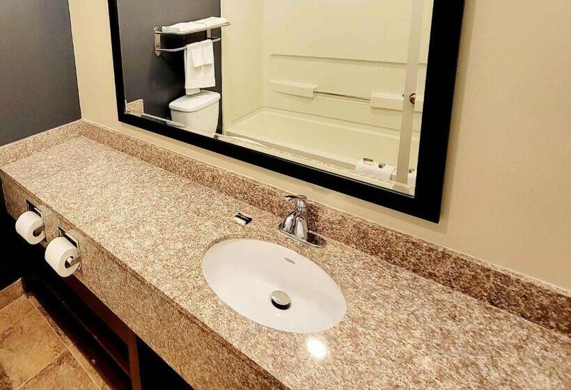 اتاق لوکس با تخت بزرگ, Extended Stay America Suites   Buffalo   Airport