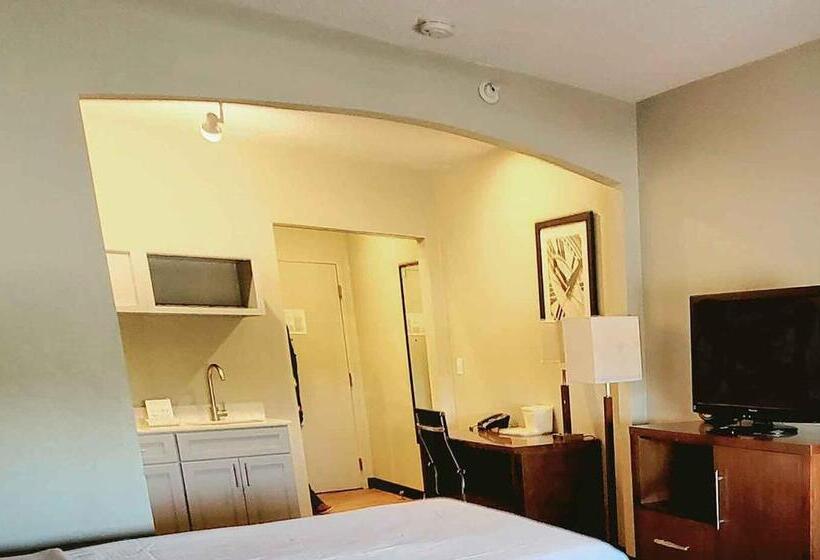 اتاق لوکس با تخت بزرگ, Extended Stay America Suites   Buffalo   Airport