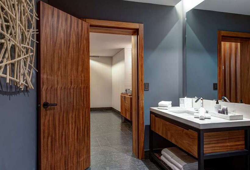اتاق اجرایی با تخت بزرگ, Hilton Budapest
