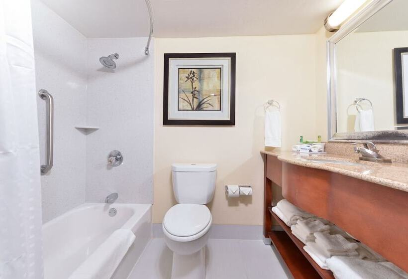 سوییت, Holiday Inn Express Harrisburg Sw   Mechanicsburg, An Ihg