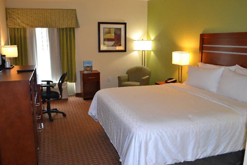 اتاق استاندارد با تخت بزرگ, Holiday Inn Express Harrisburg Sw   Mechanicsburg, An Ihg