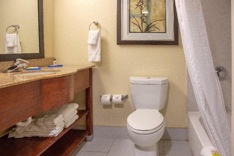 اتاق استاندارد با تخت بزرگ, Holiday Inn Express Harrisburg Sw   Mechanicsburg, An Ihg