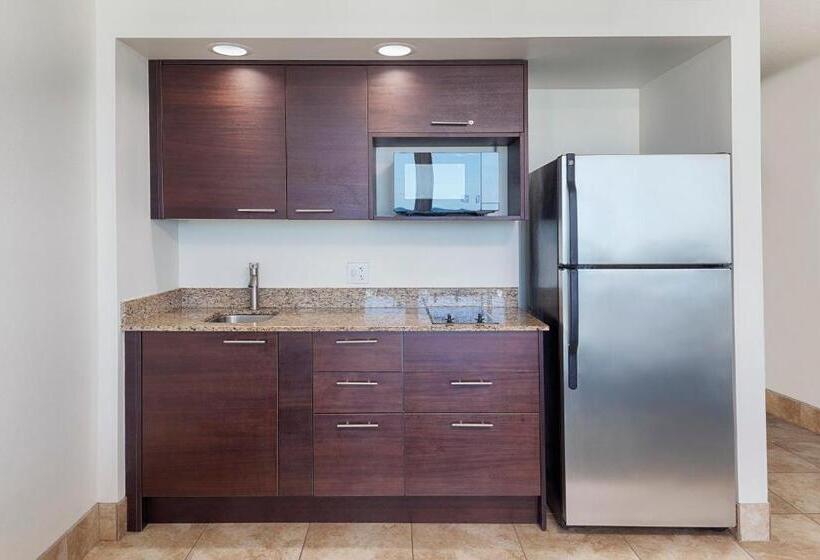 اتاق استاندارد با چشم‌انداز دریا, Holiday Inn Resort Daytona Beach Oceanfront, An Ihg