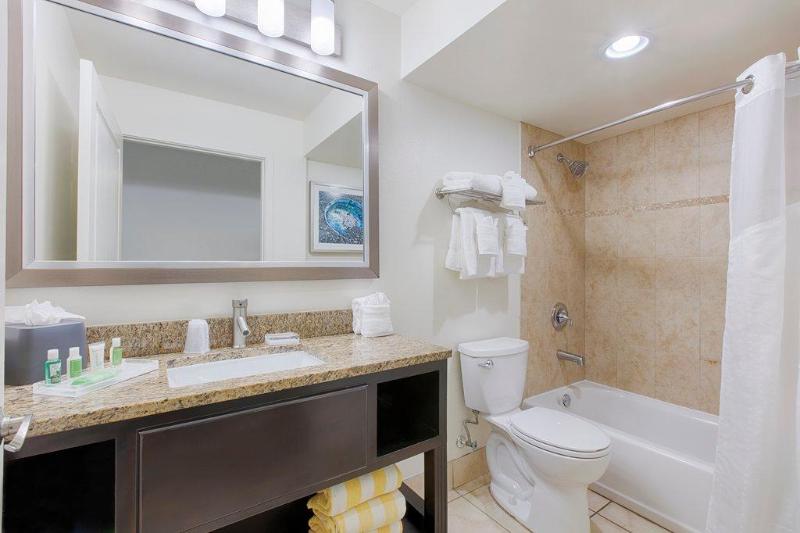 اتاق استاندارد با چشم‌انداز دریا, Holiday Inn Resort Daytona Beach Oceanfront, An Ihg