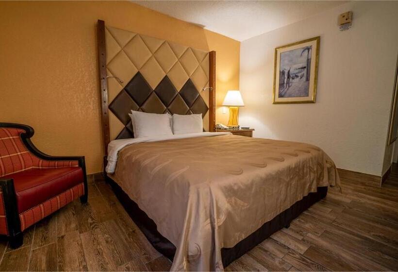 اتاق استاندارد با تخت بزرگ برای معلولان, Quality Inn Florida City  Gateway To The Keys