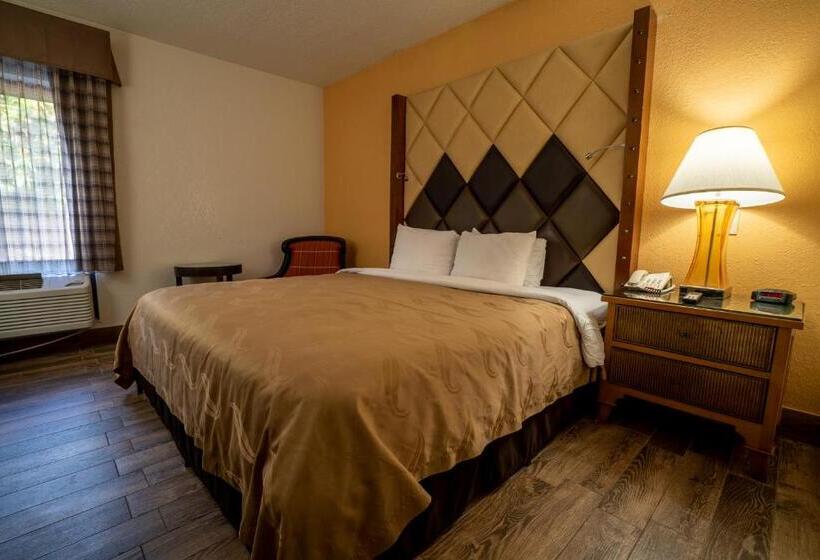 Standard Room King Bed Adapted for people with reduced mobility, Quality Inn Florida City  Gateway To The Keys