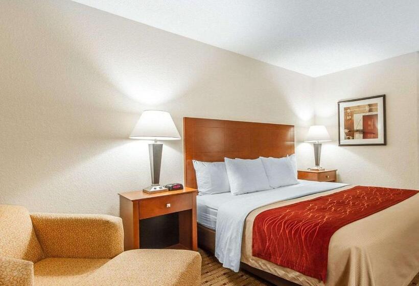 带大床的标准间, Quality Inn & Suites